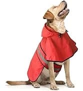 Waterproof Dog Raincoats - Hooded Raincoats for Dogs — collection imagery