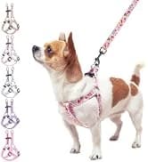 Dog Leash for Large Dogs — 5FT Heavy Duty Rope Leash Bulk — collection imagery