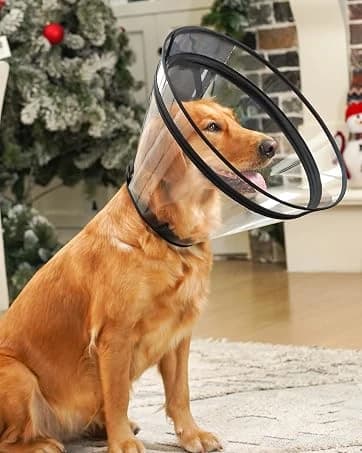 Dog Cone to Stop Licking — Clear Recovery Collar with Detachable Zipper — collection imagery