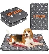 Dog Leash for Large Dogs — 5FT Heavy Duty Rope Leash Bulk — collection imagery