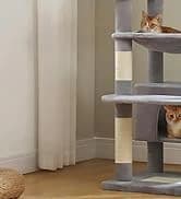 Cat Tunnel S Shape Cat Tunnels for Large and Indoor Cats 51”Long — collection imagery