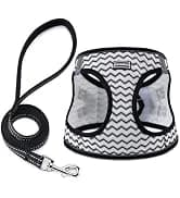 Reflective Dog Collar — Puppy Collar with Buckle Adjustable — collection imagery
