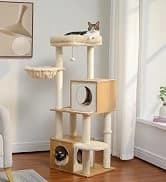Cat Tunnel S Shape Cat Tunnels for Large and Indoor Cats 51”Long — collection imagery