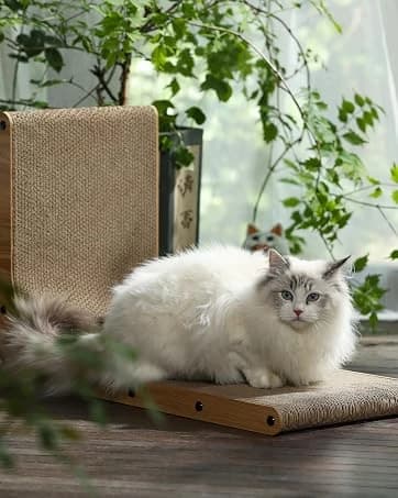 Cat Scratcher Mat — 23.6 X 15.7 Inch Natural Sisal Cat Scratch Mat — collection imagery