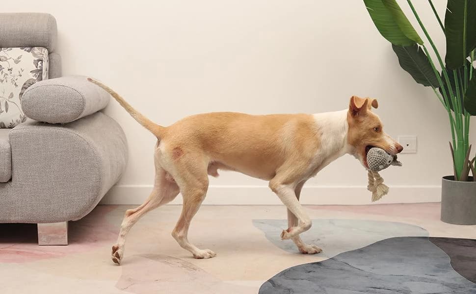 Dog Toy — Large Dog Squeaky Toys — product details