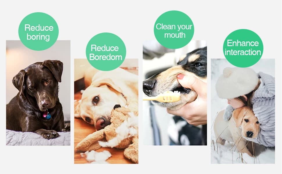 Cactus Dog Chew Toy for Aggressive Chewers — product details
