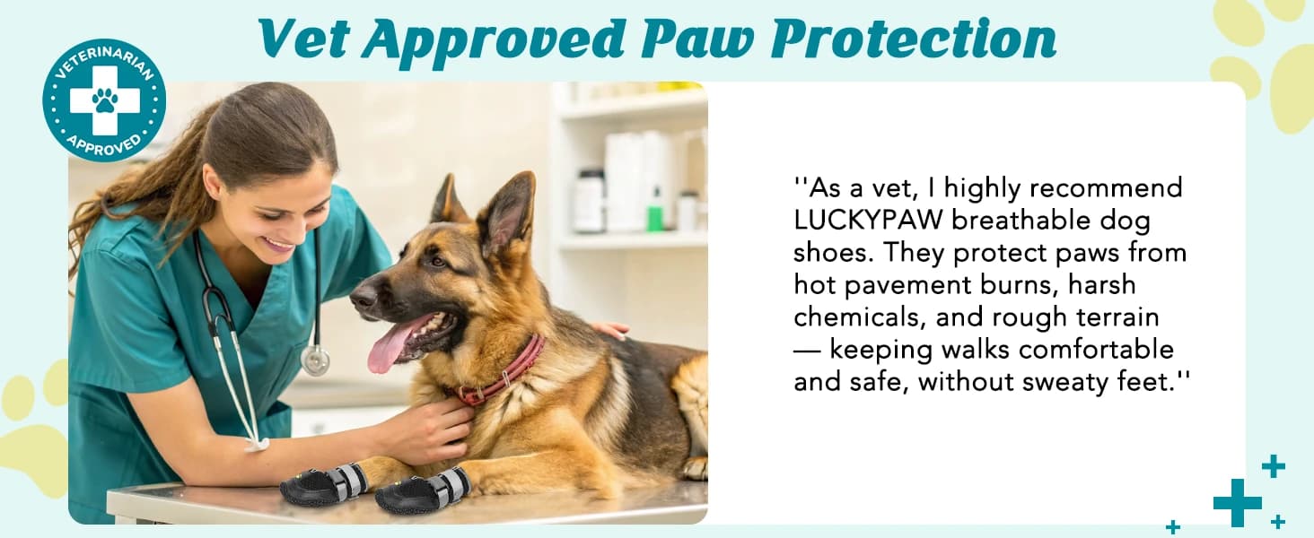 Dog Shoes for Large Medium Dogs — Dog Boots for Hot Pavement Size6 — product details