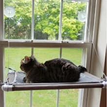 Cat Window Hammock – Mess-Free Waterproof Cats Window Perch for Large Cats — 360° sunbathing