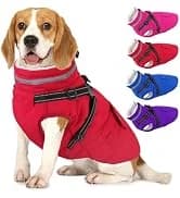 Dog Winter Coat with Harness — collection imagery