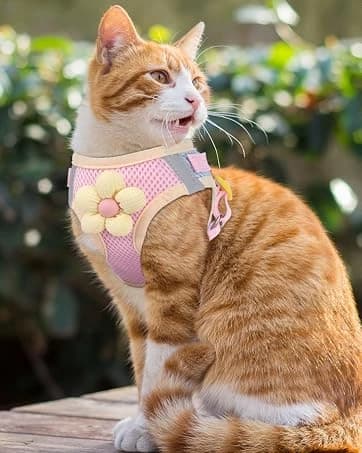 Cat Harness and Leash Set — Escape Proof Soft Vest Walk Pink XS — collection imagery