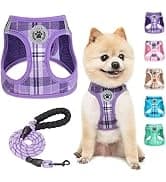 Dog Leash for Large Dogs — 5FT Heavy Duty Rope Leash Bulk — collection imagery