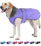 Dog Winter Coat with Harness — collection imagery