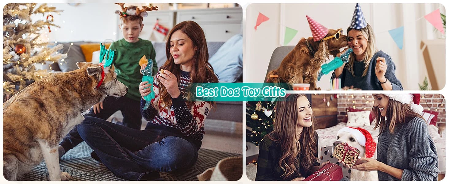 Dog Toys for Aggressive Chewers — product details