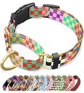 Adjustable and Reflective Dog Collar for Medium Dogs — collection imagery