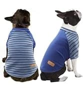 Dog Sweater for Small Dogs Turtleneck Thick Knit Pullover — collection imagery