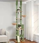 Cat Tunnel S Shape Cat Tunnels for Large and Indoor Cats 51”Long — collection imagery