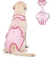 Dog Coat Warm Dog Winter Coat Waterproof Dogs Jacket with Harness — collection imagery