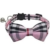 Leather Cat Collar with Bell Breakaway- Adjustable — collection imagery