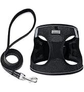 Reflective Dog Collar — Puppy Collar with Buckle Adjustable — collection imagery