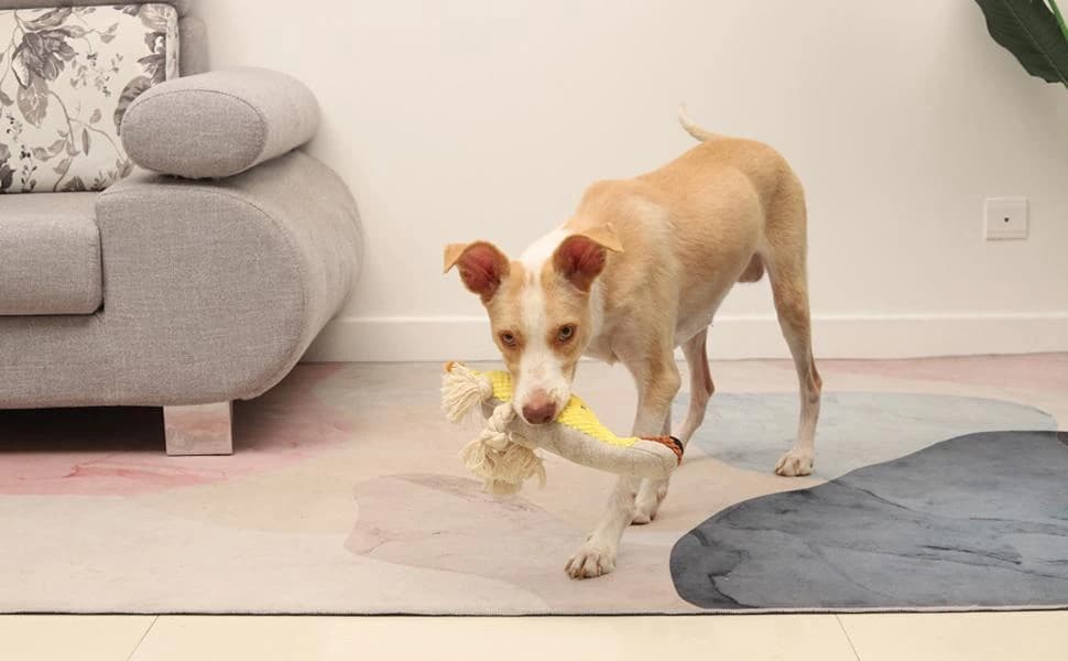Dog Toy — Large Dog Squeaky Toys — product details
