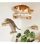 Tall Cat Scratching Post 51 Inch — Sisal Rope Cat Scratcher Tree — collection imagery