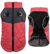 Fleece Dog Jacket for Small Dogs — collection imagery