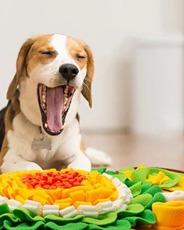 Snuffle Mat for Dogs — Pet Snuffle Mat for Small and Medium Dogs — collection imagery
