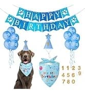 Dog Birthday Party Supplies — Dog Birthday Bandana — collection imagery