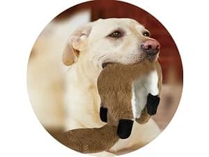 Dog Squeaky Toys — 5 PCS Crinkle Plush Dog Toys — FLOPPY JOY for XS-XXL DOGS