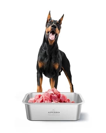 Slow Feeder Dog Bowl Stainless Steel — Metal Non-Slip Dog Food Bowls — collection imagery