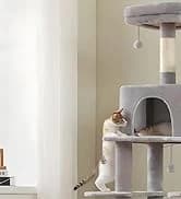 Cat Tunnel S Shape Cat Tunnels for Large and Indoor Cats 51”Long — collection imagery