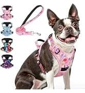 Dog Leash for Large Dogs — 5FT Heavy Duty Rope Leash Bulk — collection imagery
