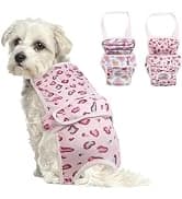 Reversible Dog Winter Coat — Dog Jacket for Small — collection imagery