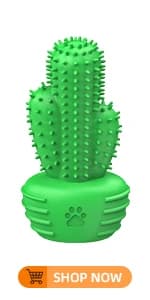 Cactus Dog Chew Toy for Aggressive Chewers — product details
