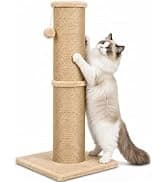 Cat Scratching Post for Indoor Cats — 32Inch Sisal Cat Scratcher — collection imagery