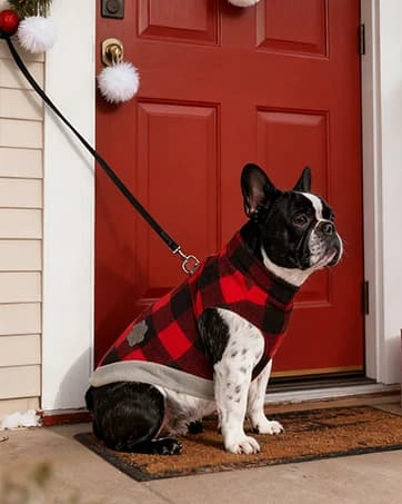 Cable Knit Turtleneck Dog Sweater with Leash Opening — collection imagery