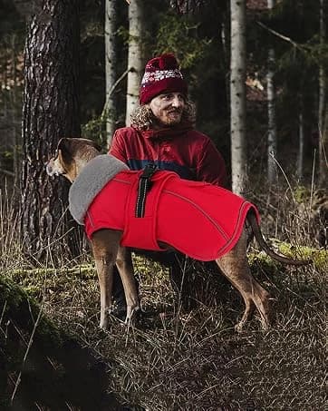 Dog Winter Coat with Harness — collection imagery