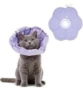 Pink Bow Cat Harness and Leash Set — Escape Proof — collection imagery