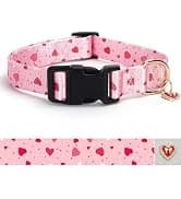 Reflective Dog Collar — Puppy Collar with Buckle Adjustable — collection imagery