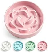 Elevated Slow Feeder Dog Bowl — collection imagery