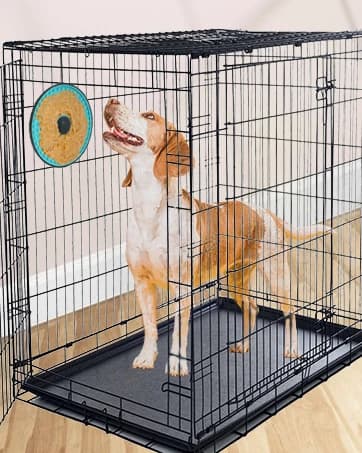 Lick Mat for Dogs Crate Lick Pad Slow Feeder for Crate Training — collection imagery