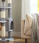 Cat Tunnel S Shape Cat Tunnels for Large and Indoor Cats 51”Long — collection imagery