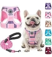 Dog Leash for Large Dogs — 5FT Heavy Duty Rope Leash Bulk — collection imagery
