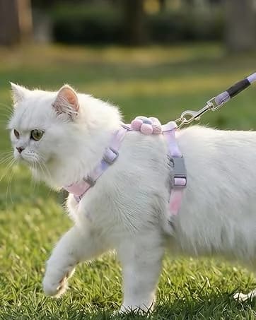 Pink Bow Cat Harness and Leash Set — Escape Proof — collection imagery