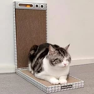 Cat Scratching Board 3 Pack – Reversible Cardboard Scratcher for Indoor Cats — collection imagery