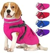 Dog Winter Coat with Harness — collection imagery