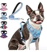 Dog Leash for Large Dogs — 5FT Heavy Duty Rope Leash Bulk — collection imagery