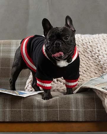 Dog Coat for Medium Dogs — Fleece Dog Winter Jacket with Harness — collection imagery