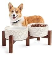 Elevated Slow Feeder Dog Bowl — collection imagery