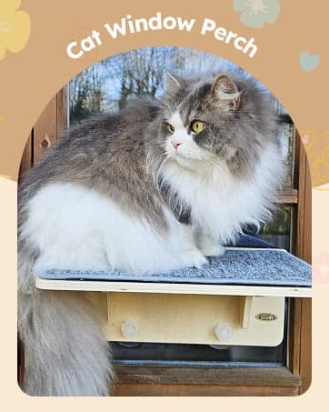 2-in-1 Cat Window Perch and Wall Shelves — collection imagery